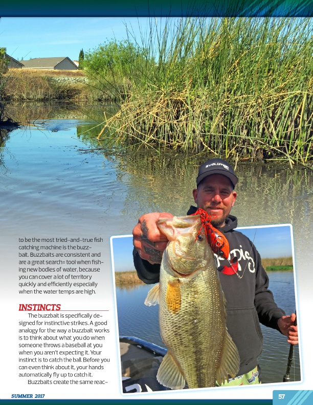 buzzbaits is a good summer option for a topwater lure choice when catching bass